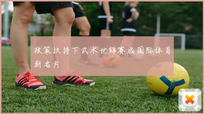政策扶持下武术世锦赛成国际体育新名片