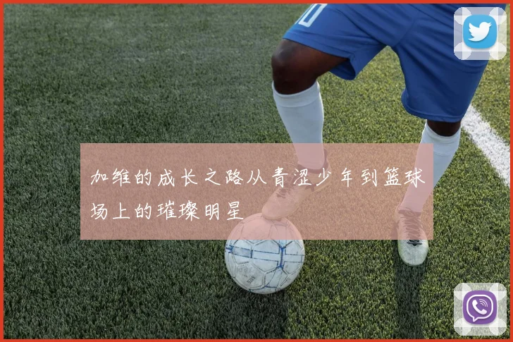 加维的成长之路从青涩少年到篮球场上的璀璨明星