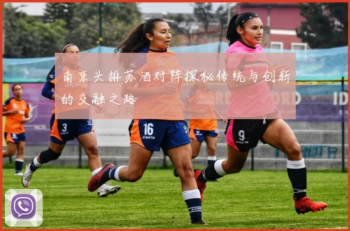 南京头排苏酒对阵探秘传统与创新的交融之路