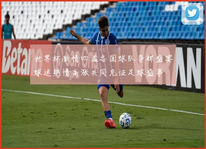 世界杯激情四溢各国球队争辉盛宴球迷热情高涨共同见证足球盛事