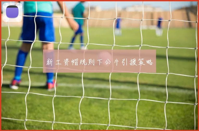 新工资帽规则下公牛引援策略