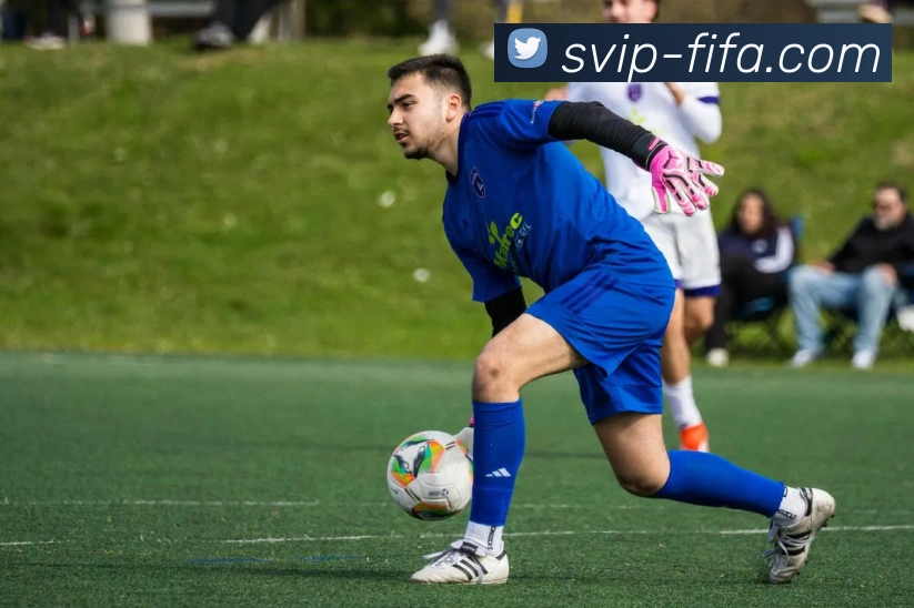 世界杯FIFAAPP 高清赛事图